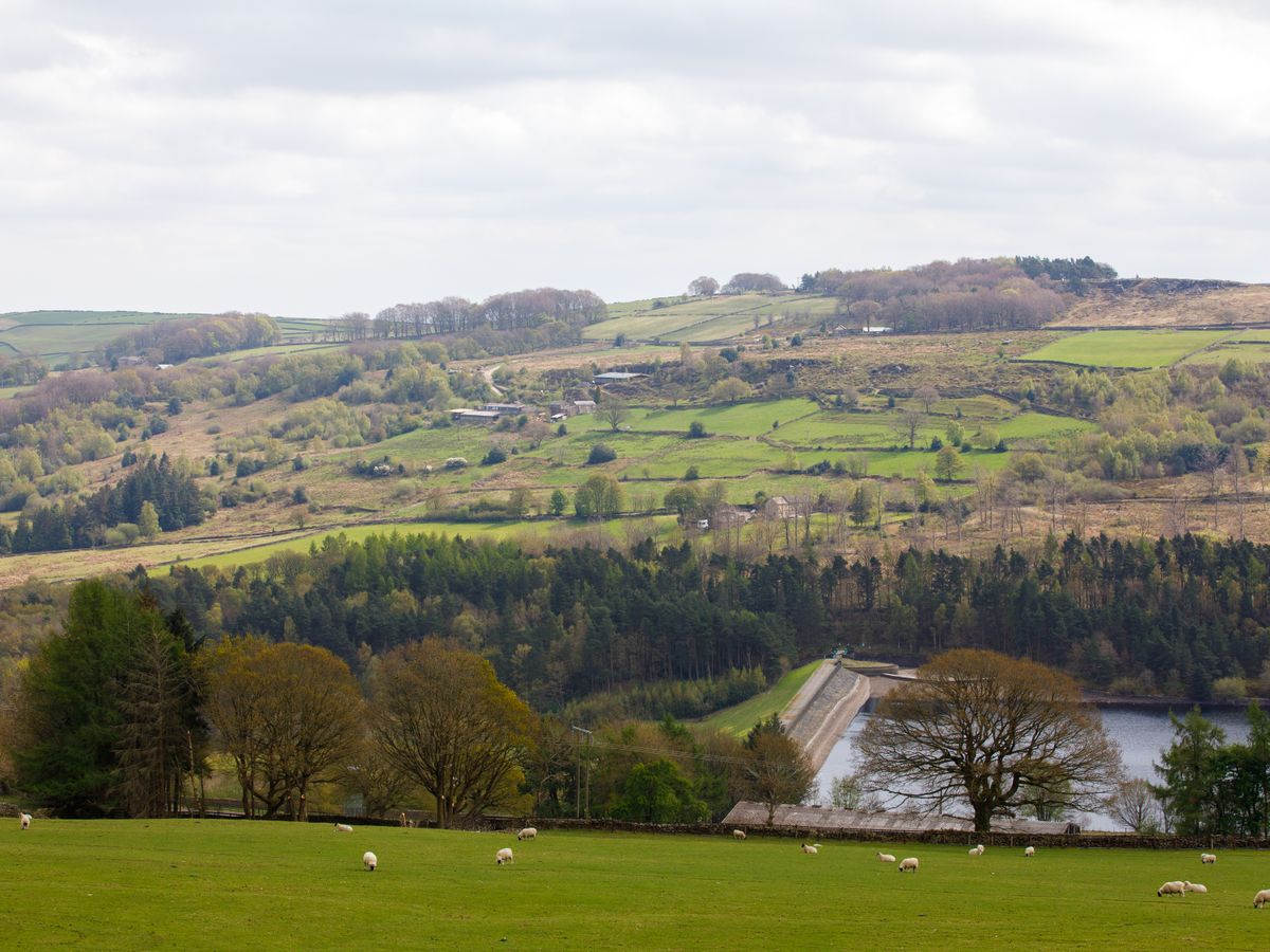 Farm Estate Retreat 3