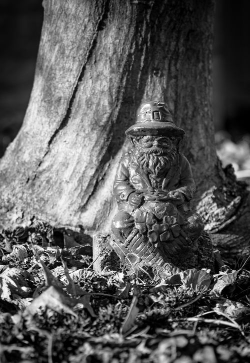 Free A garden gnome statue sitting against a tree trunk, captured in black and white. Stock Photo