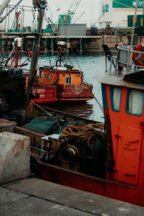 Free Colorful fishing boats moored at Mar del Plata harbor, showcasing vibrant coastal life. Stock Photo