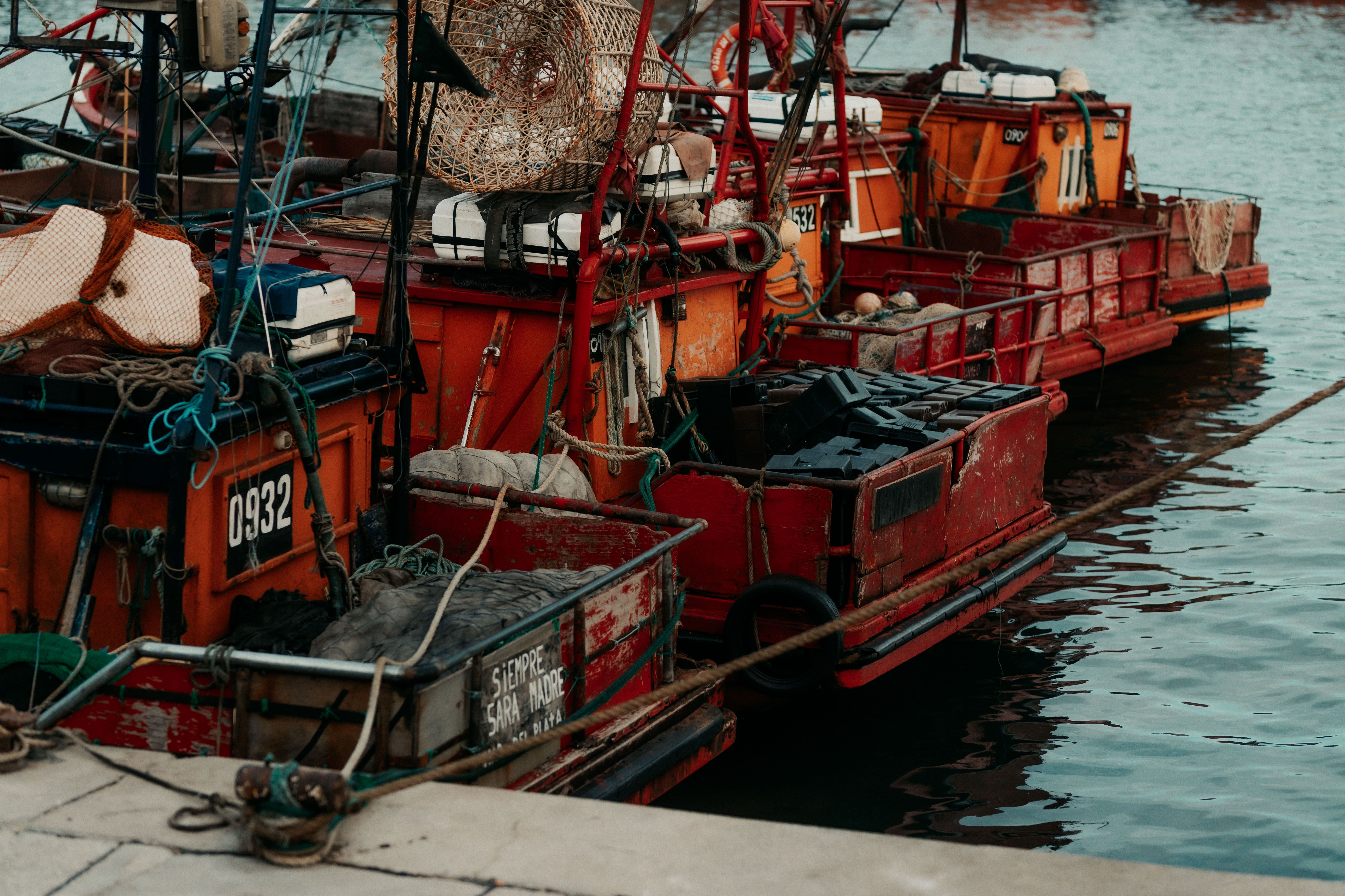 Colorful Fishing Boats Docked in Mar del Plata · Free Stock Photo