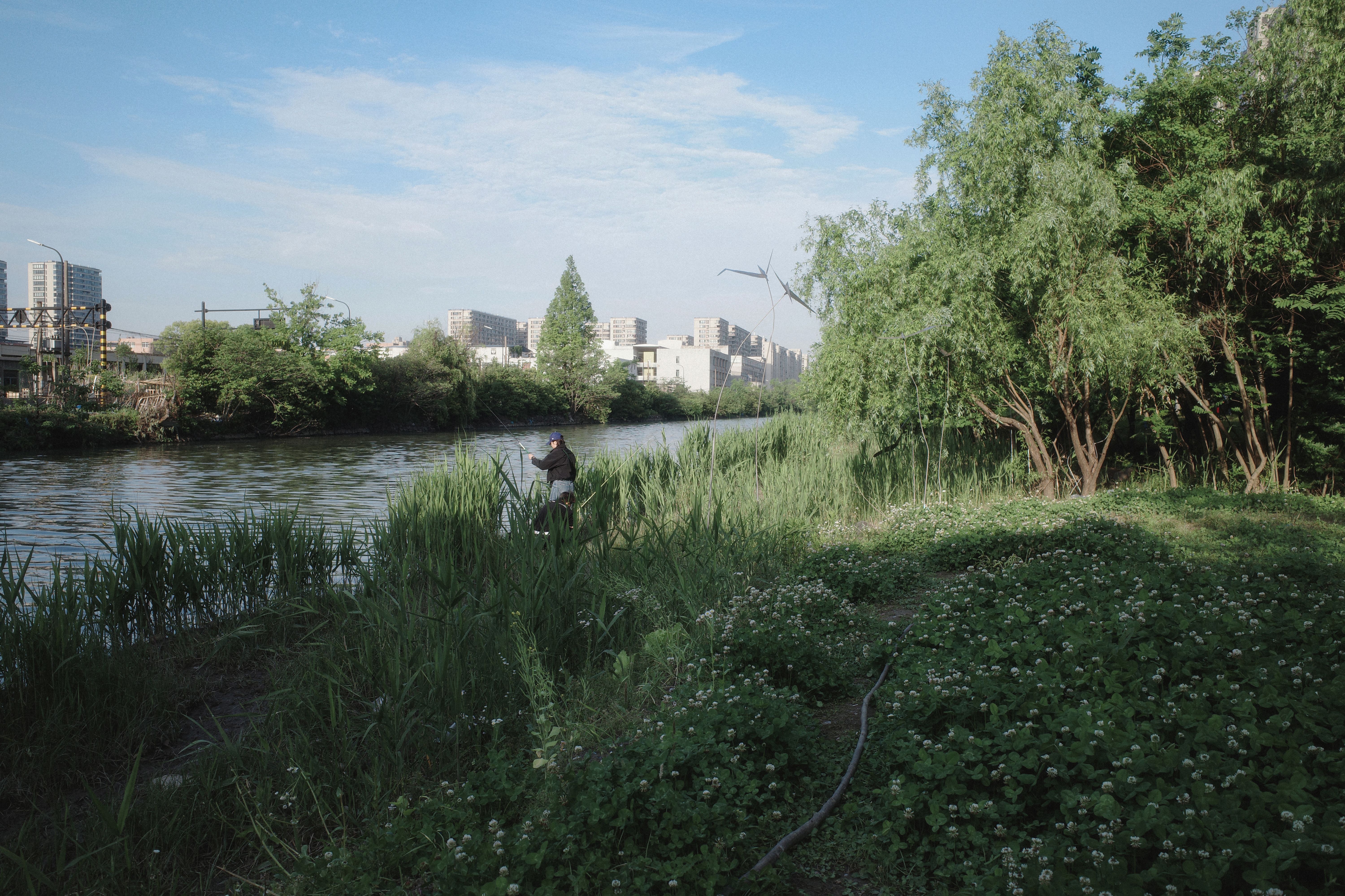 Urban Riverside with Lush Greenery and Cityscape · Free Stock Photo
