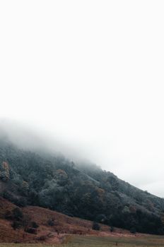 云雾缭绕的山脉与生机勃勃的树叶，构成了一幅迷人的秋季景观，宁静而祥和