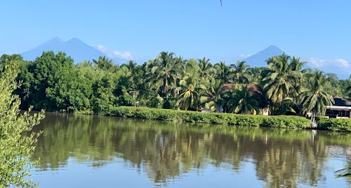 Foto profissional grátis de guatemala, palma, vulcão