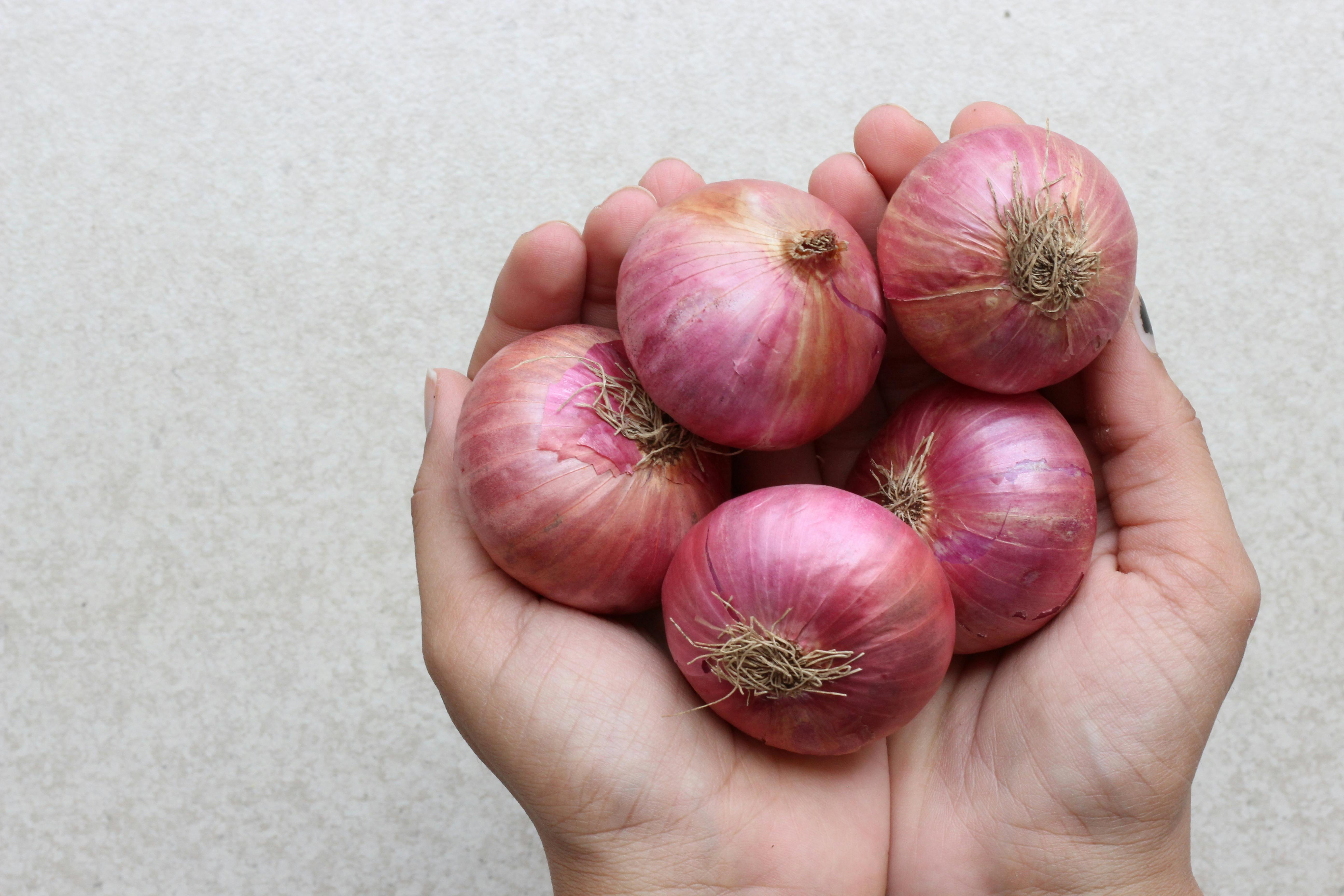 35.973+ Fotos y Imágenes de Penes+caseros Gratis · Banco de Fotos Gratis