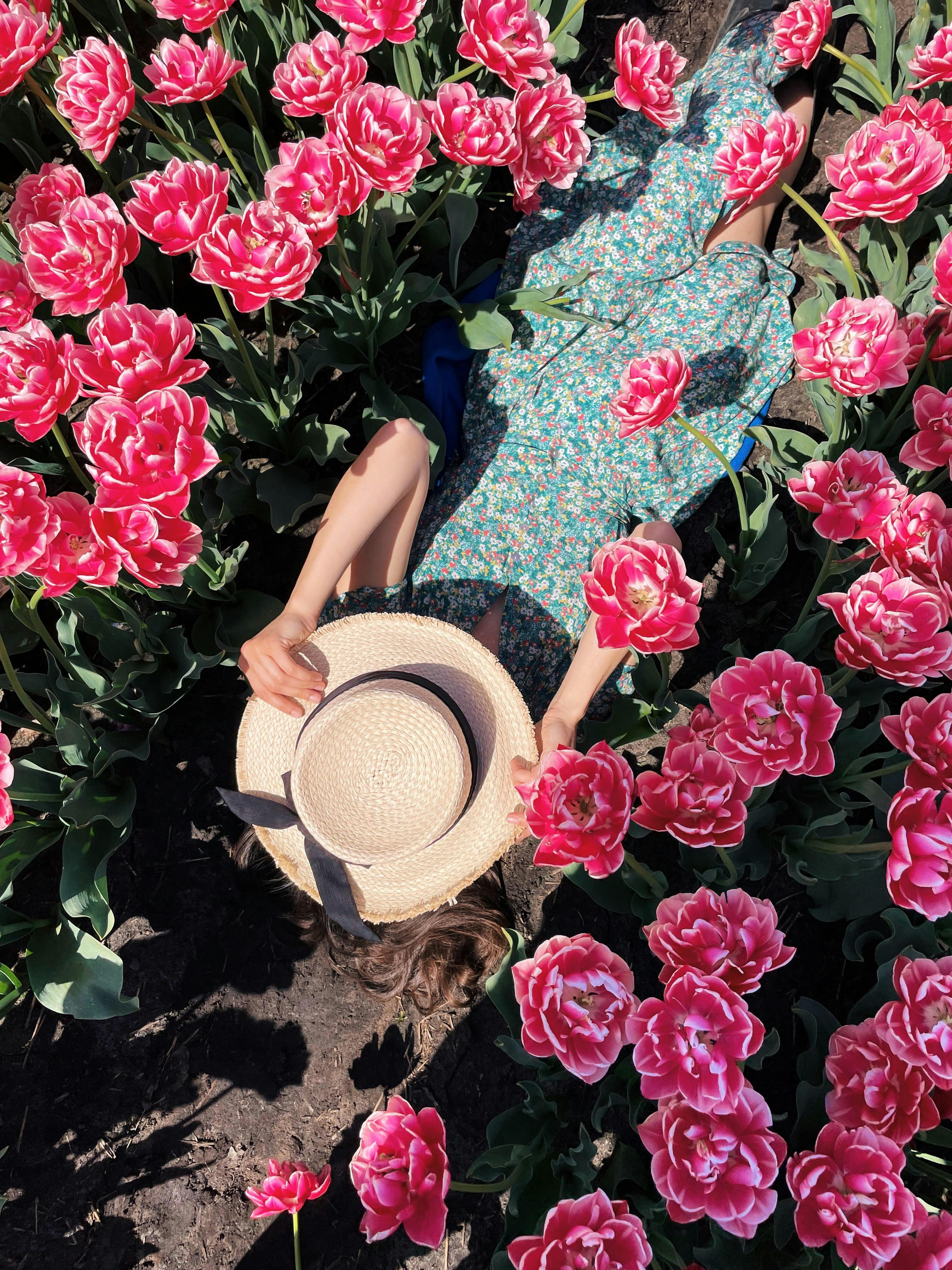A woman in a floral dress and sunhat relaxes amidst vibrant pink tulips in a garden.
