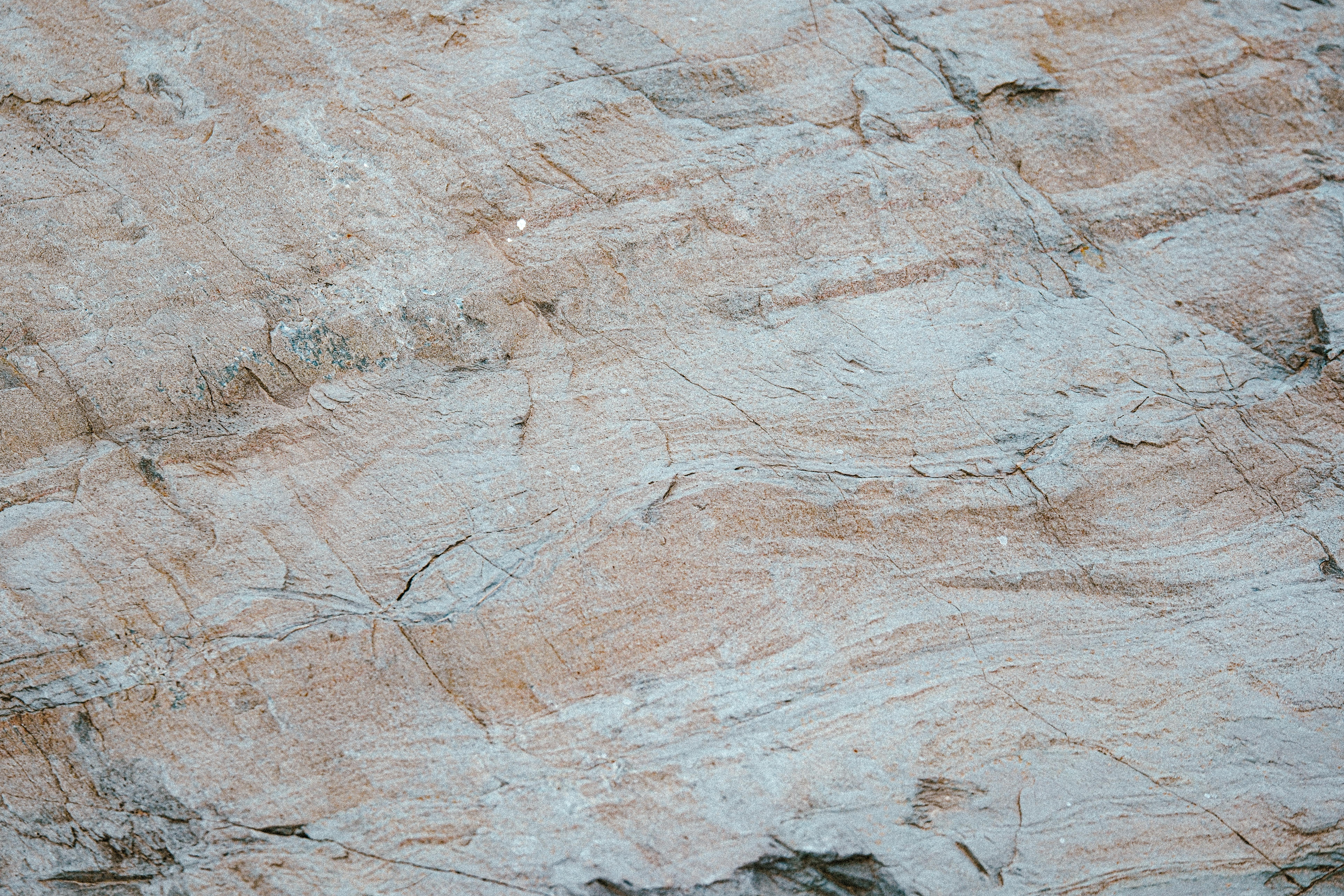 Free Close-up view of a beige rock surface displaying natural textures and lines. Stock Photo