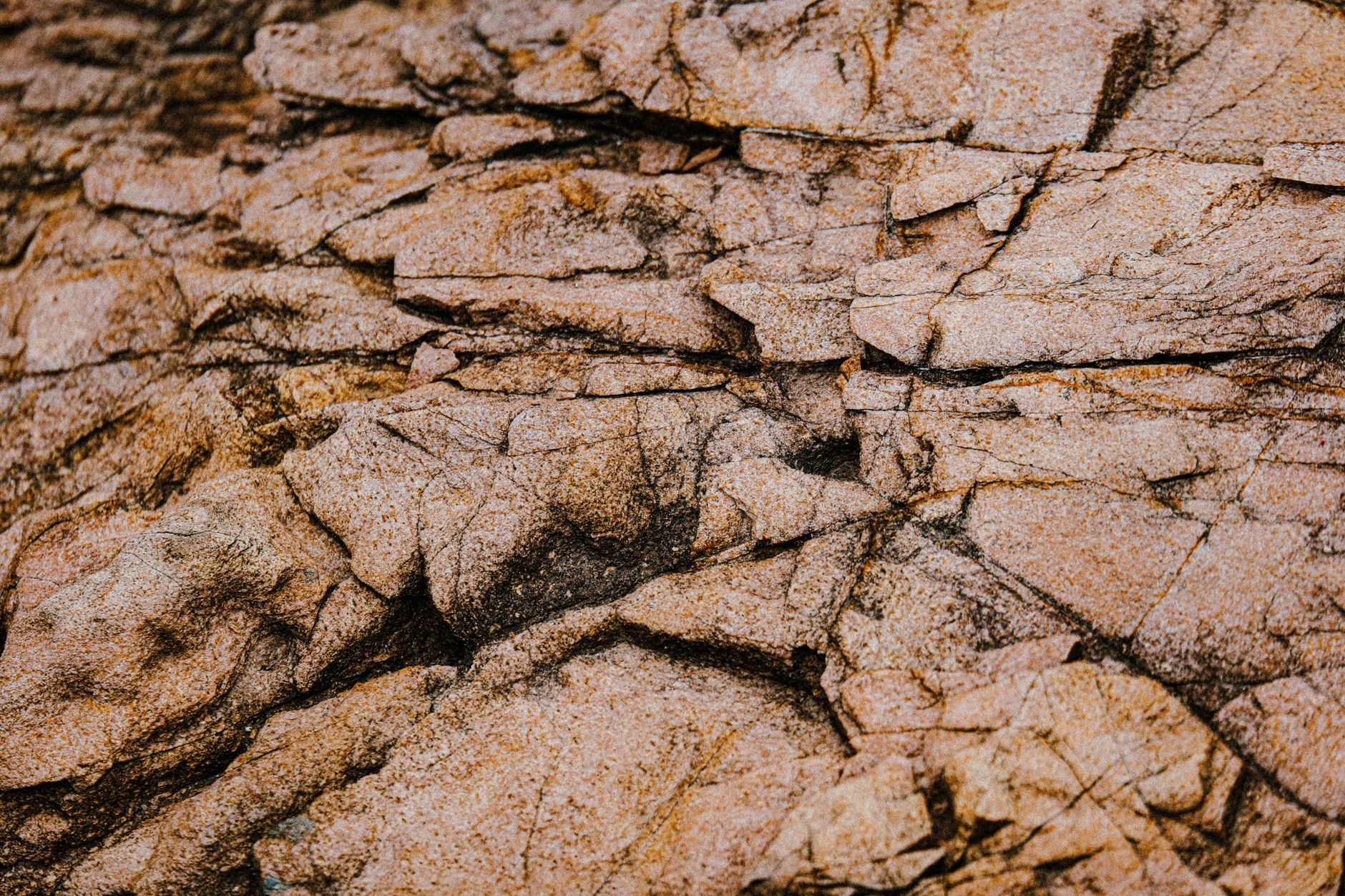 Close-up of textured rock surface showcasing intricate natural patterns and earth tones.