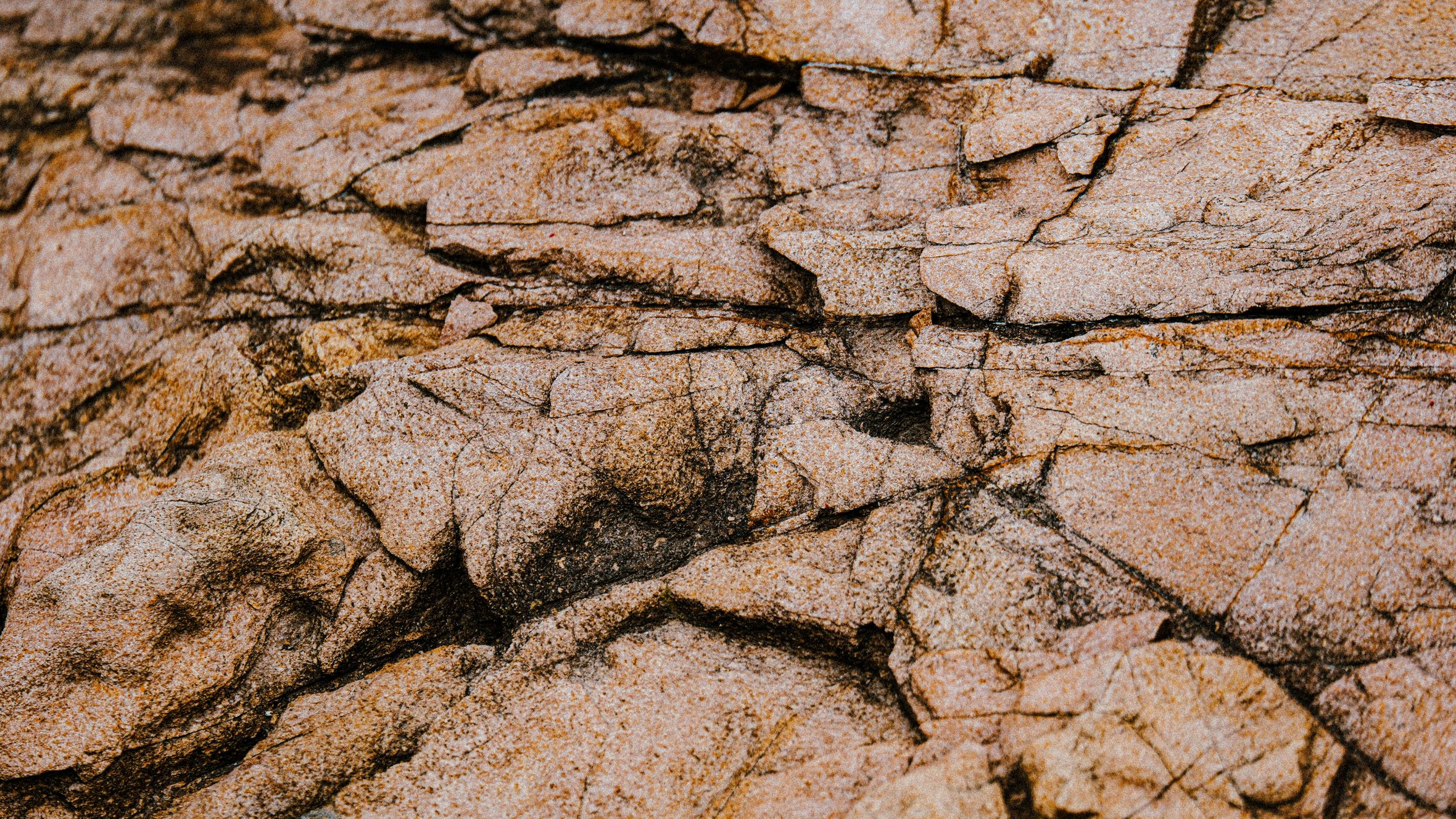 Close-up of textured rock surface showcasing intricate natural patterns and earth tones.