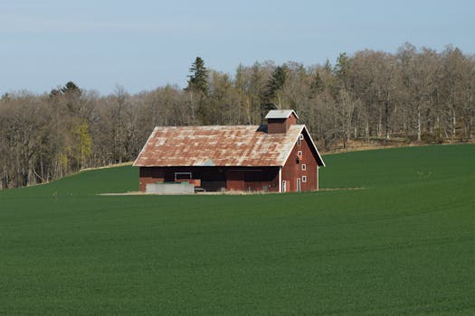 Joe Gebbia Beli Saham Tesla: Si Bos Airbnb Makin Kaya! - gebbia 1