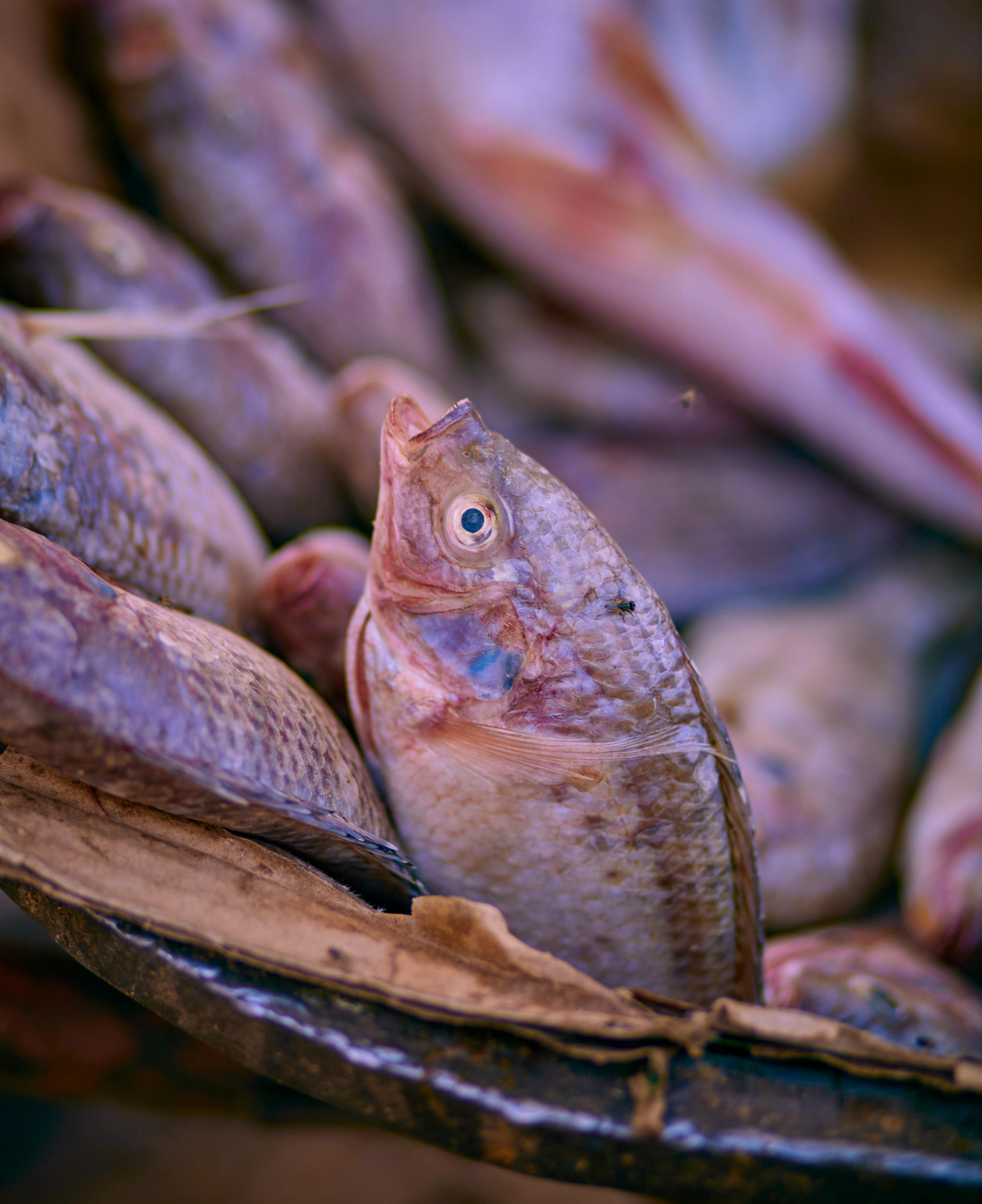 3 tips for marketing on FB