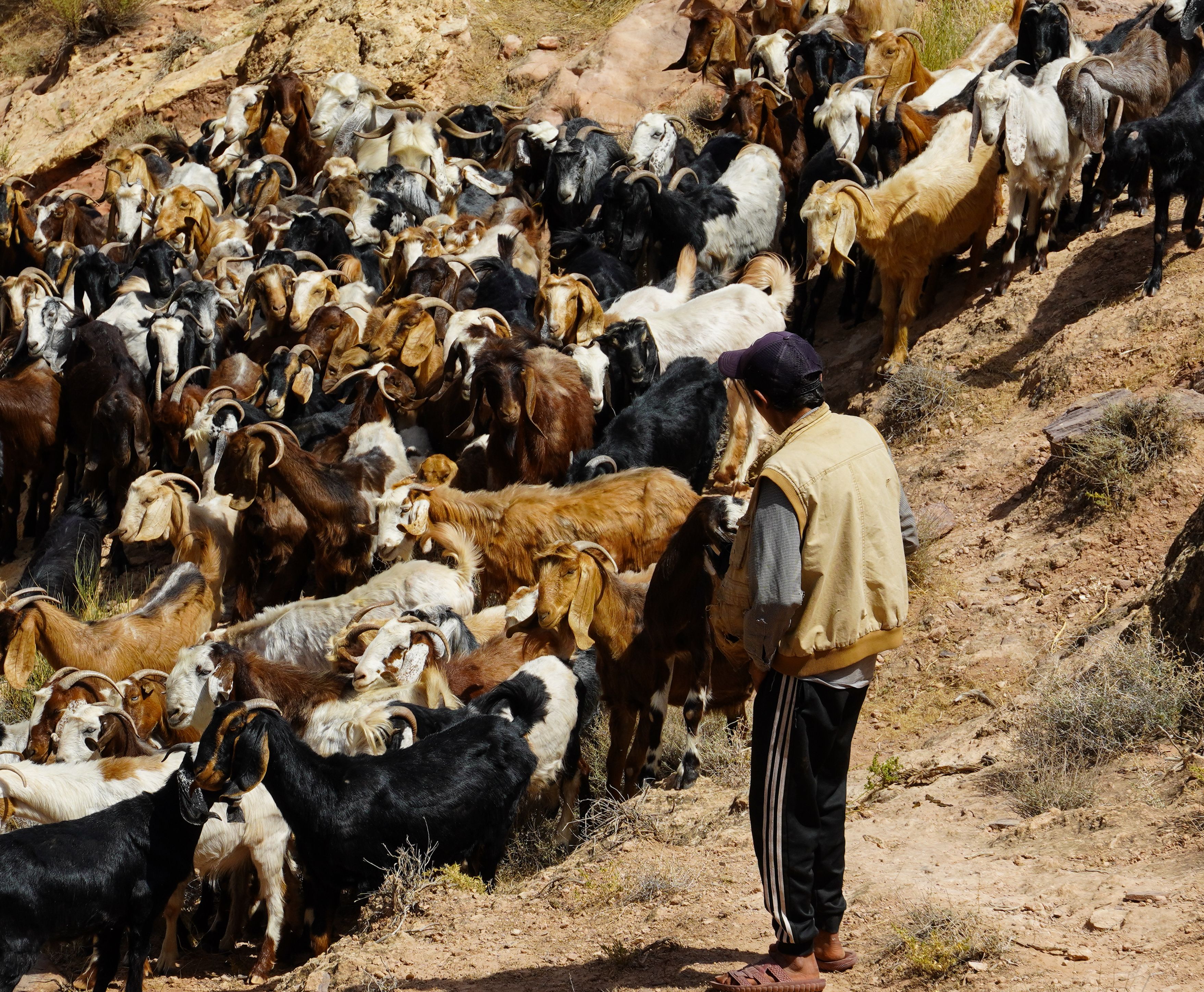Dana Biosphere Reserve, Jordan - travel photo
