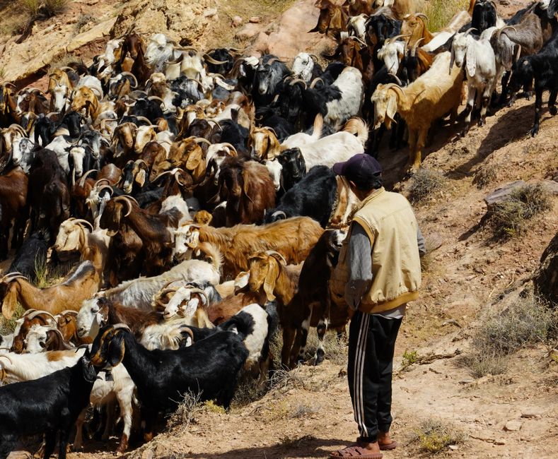 Dana Biosphere Reserve, Jordan - travel photo