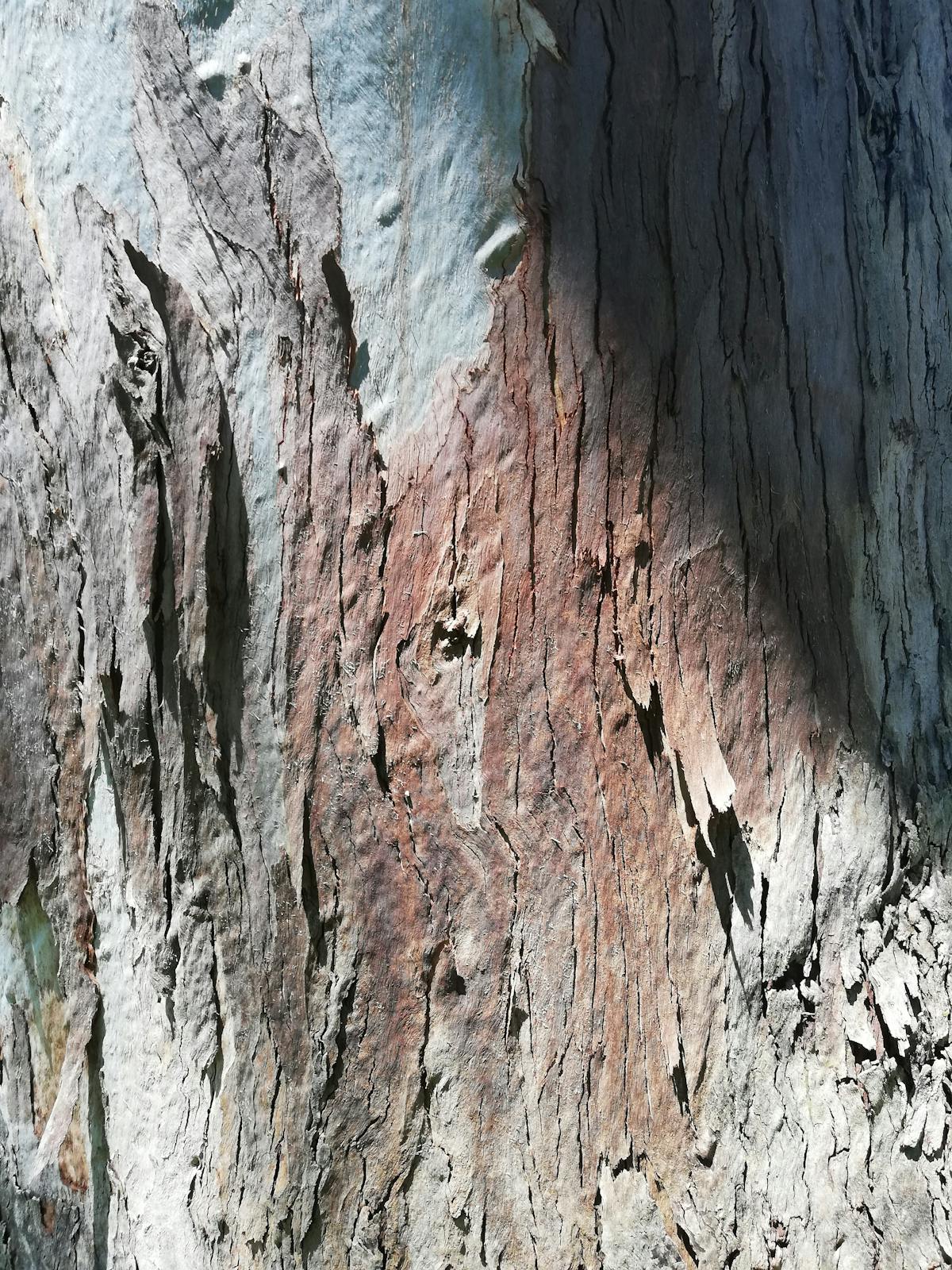 Wie nutze ich KI, ohne zur Mogelpackung zu werden?