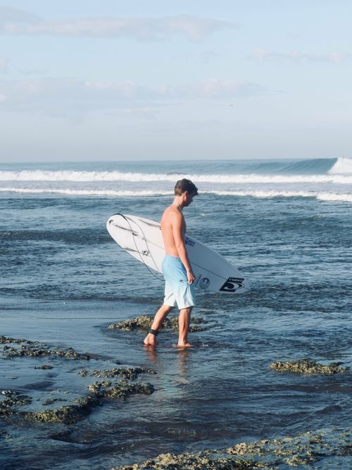 Free A young male surfer carrying a board walks along a sunny ocean shoreline, ready to catch waves. Stock Photo