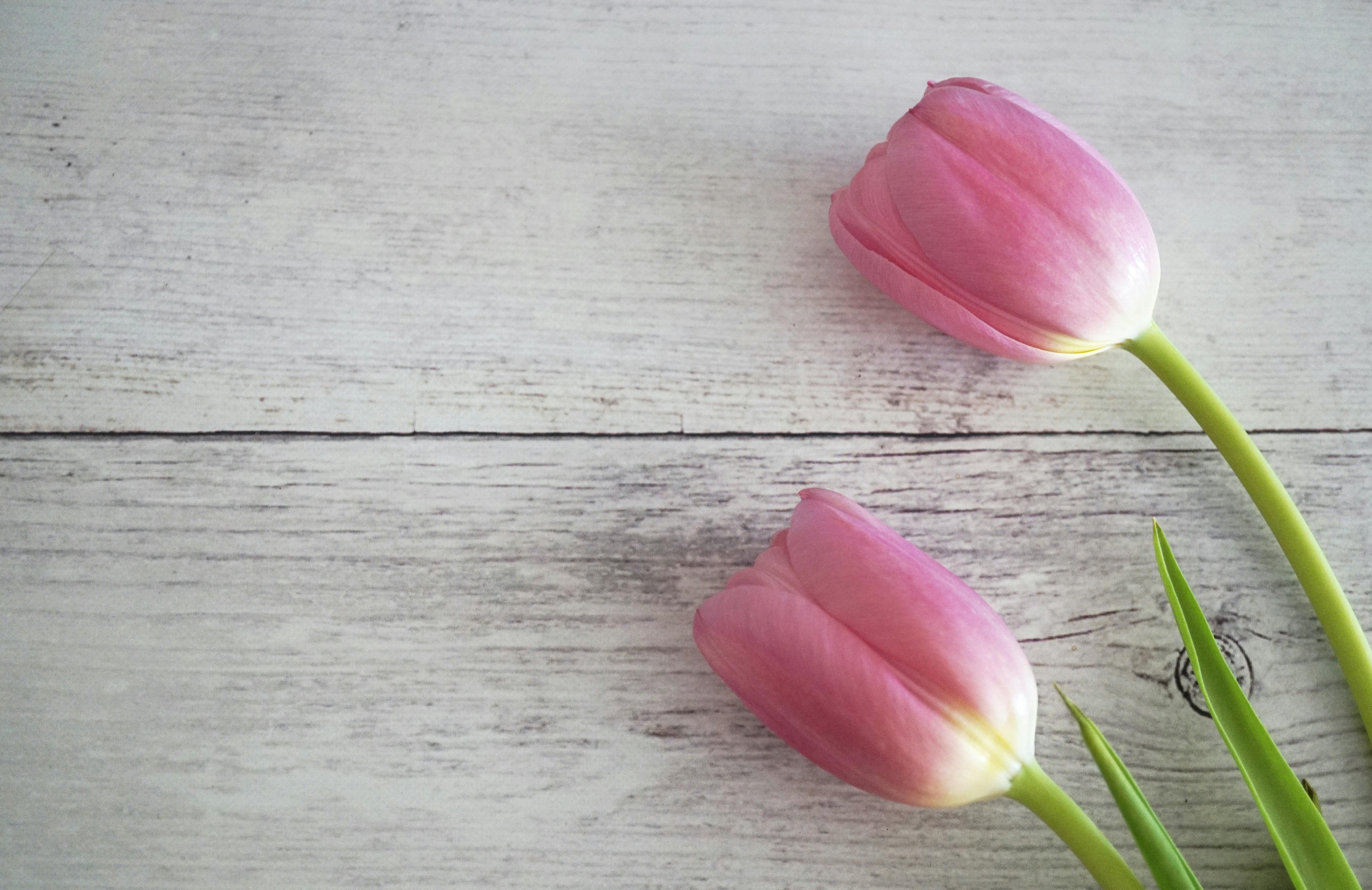 Techy Background Photos, Download The BEST