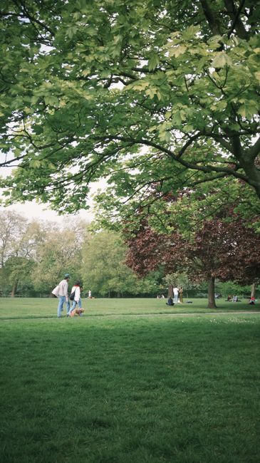 10 Consejos Invalorables antes de viajar a Londres con niños