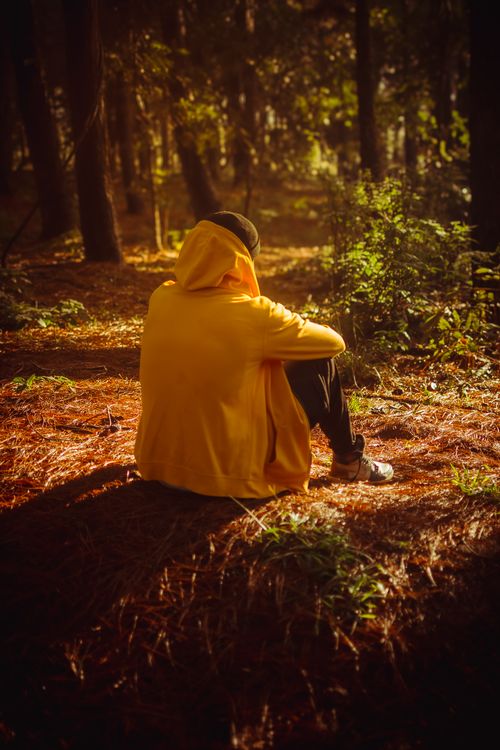 Free Person in yellow hoodie sitting alone in a sunlit autumn forest scene. Stock Photo