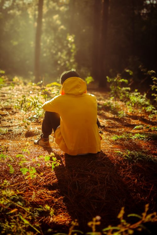 Free A person in a yellow hoodie sits alone in a sunlit forest, contemplating nature. Stock Photo