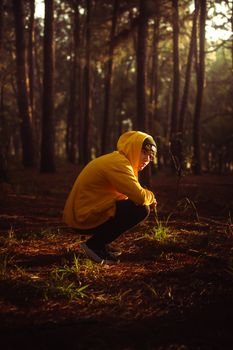 A person in a yellow hoodie crouches in a sunlit forest, creating a warm and contemplative scene.