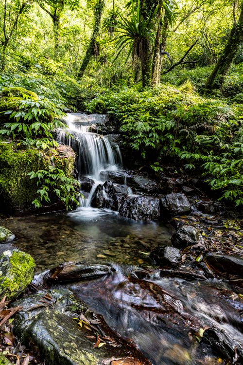 Free Tranquil waterfall cascading in a lush, green tropical forest. Stock Photo