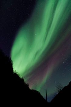 Breathtaking northern lights display over rural Sweden's night sky, featuring silhouettes and stars.