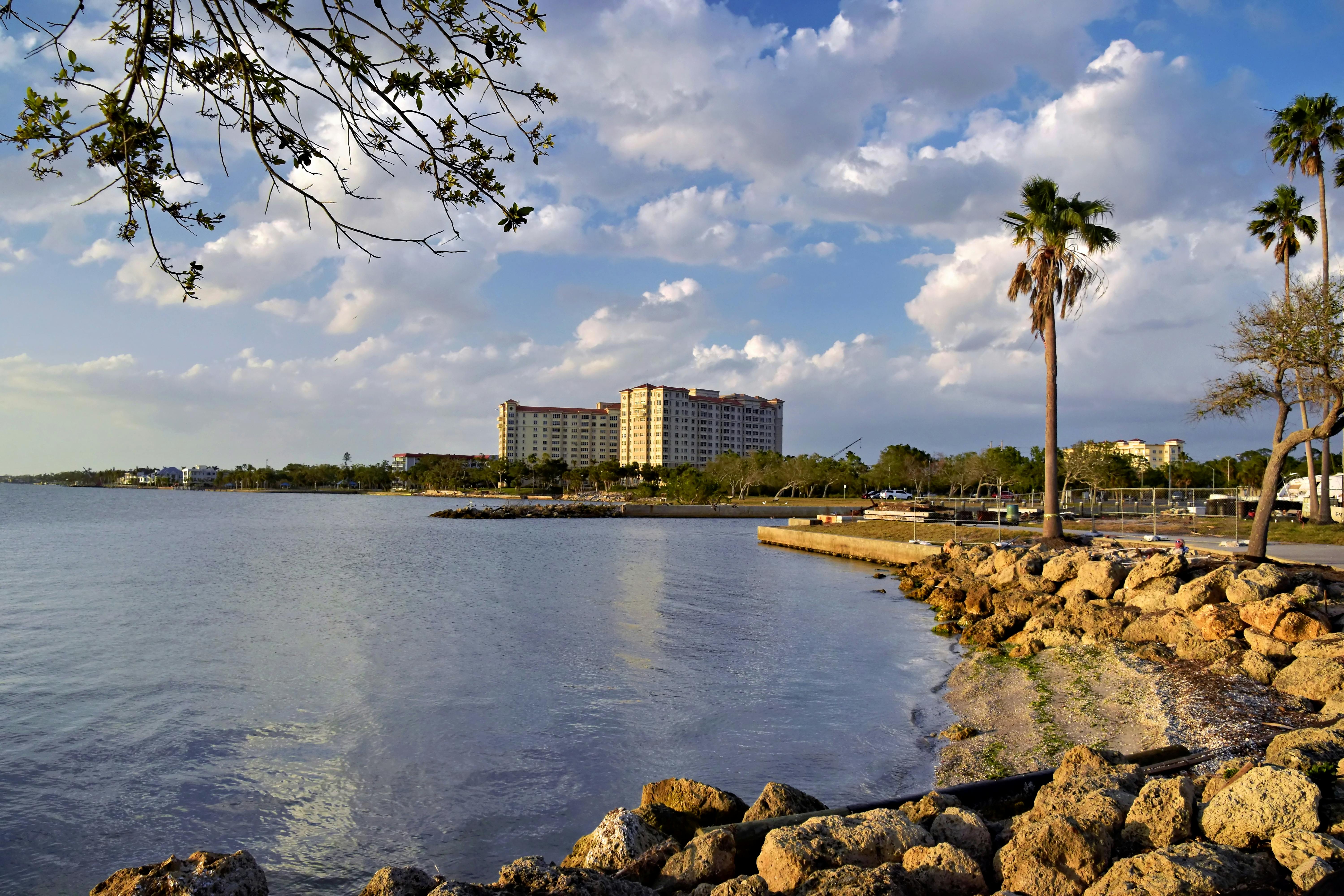 Peaceful waterfront in Sarasota with palm trees, rocks, and blue sky.