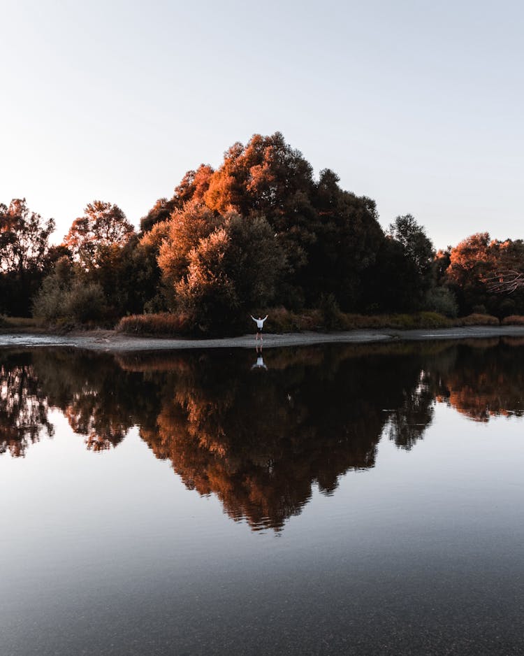 Person Standing On The Banks Of A Lake Lined With Lush Vegetation