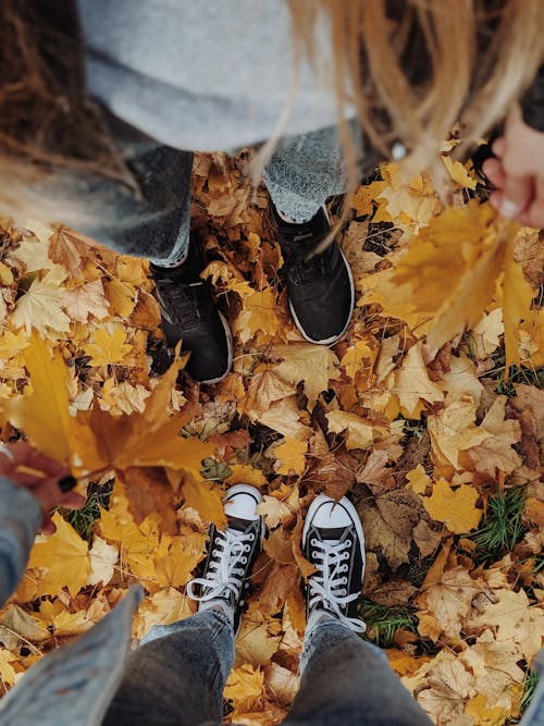 Безкоштовне стокове фото на тему «взуття, восени листя фону, друзі»
