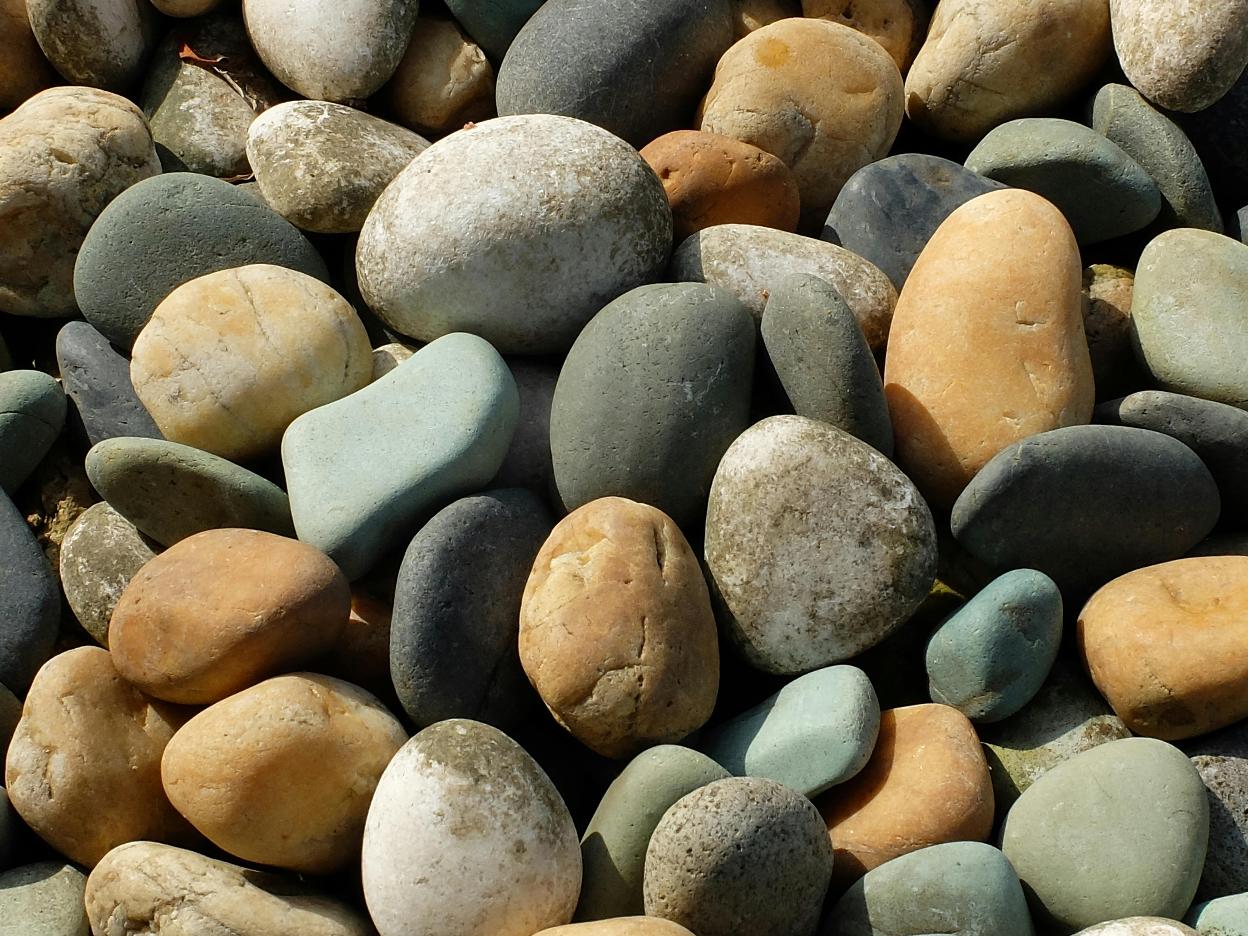 Free stock photo of rock