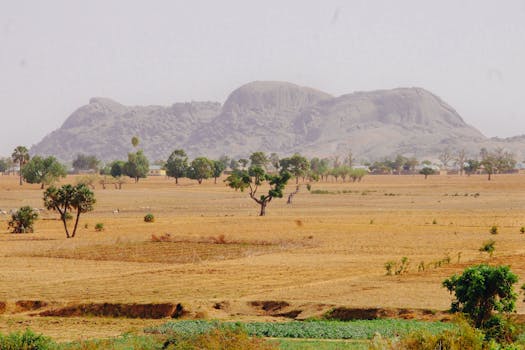Expansive view of Nigerian savannah with distant hills and trees under a clear sky.