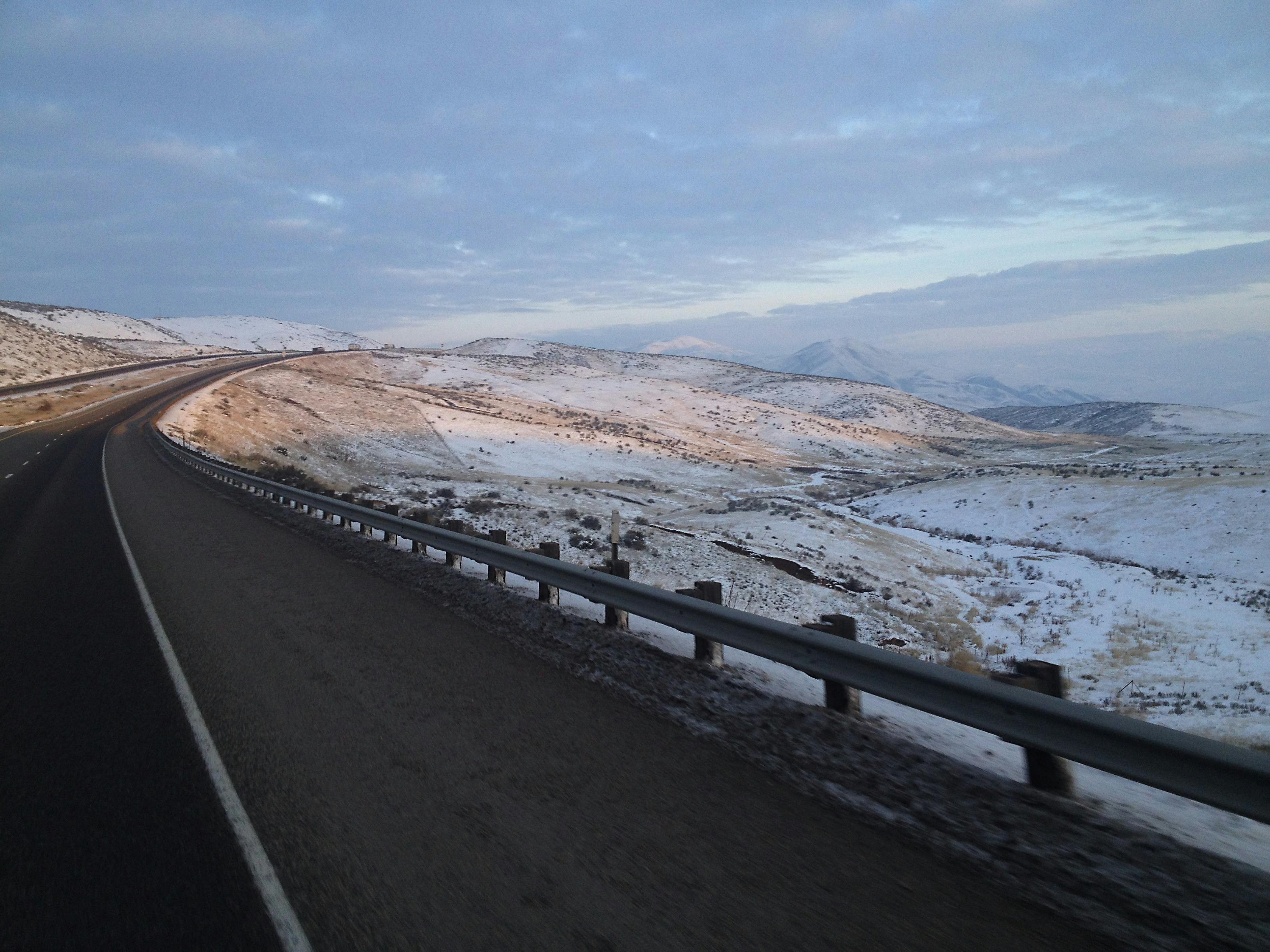 Free stock photo of cotton field