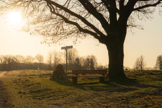 A tranquil scene of a wooden bench under a tree at sunset in rural Germany.