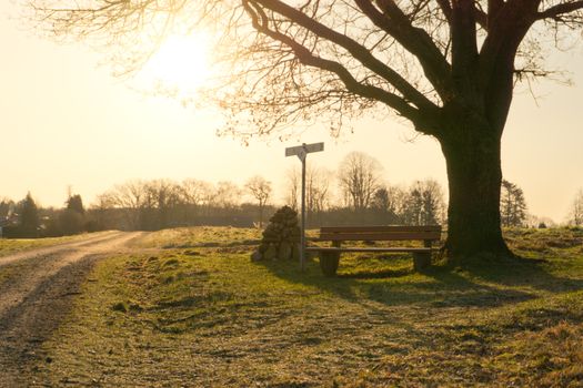 Idyllic rural scene with a wooden bench, signpost, and tree under the warm sunrise in Germany.