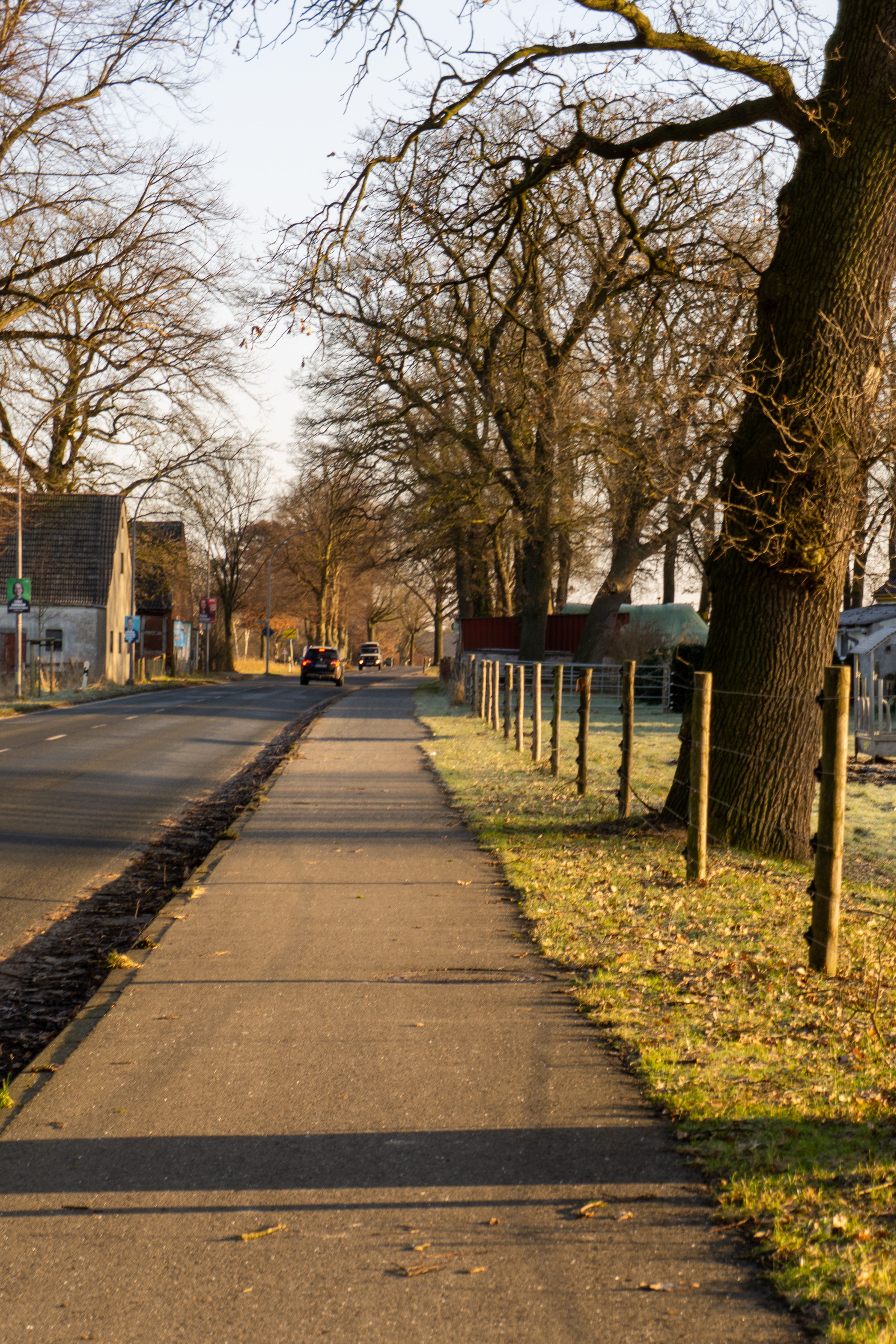 Charming Rural Road in Germany During Sunset · Free Stock Photo