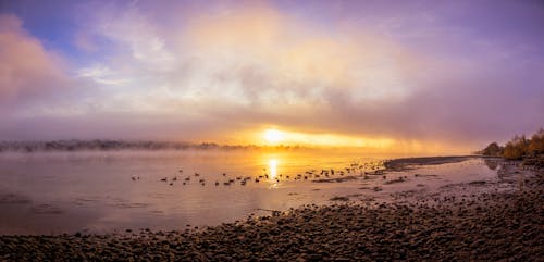 Безкоштовне стокове фото на тему «Захід сонця, море, пляж»