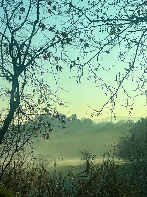Free early morning  Stock Photo