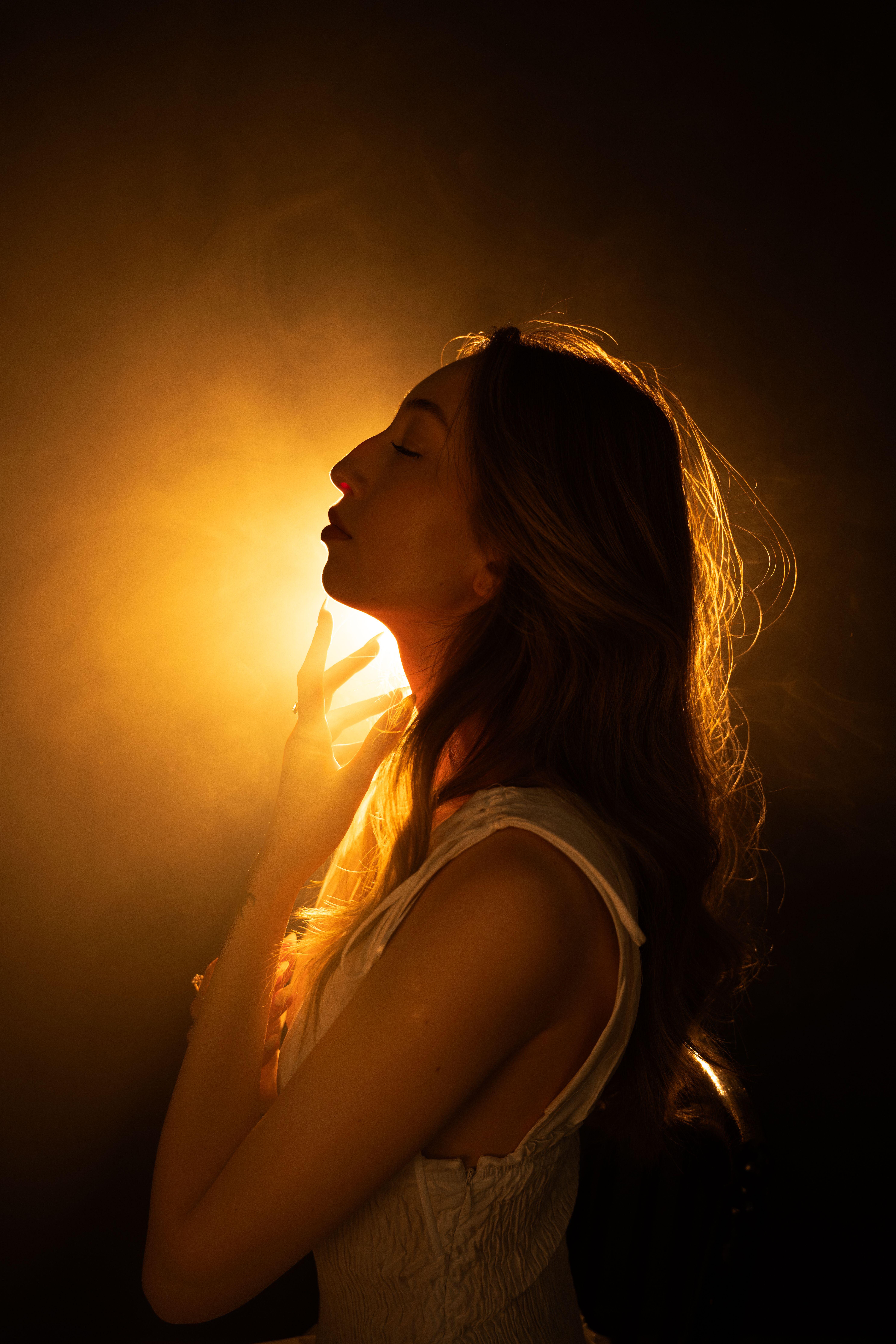 Artistic Side Profile Portrait In Warm Light Free Stock Photo artistic-side-profile-portrait-in-warm-light-free-stock-photo