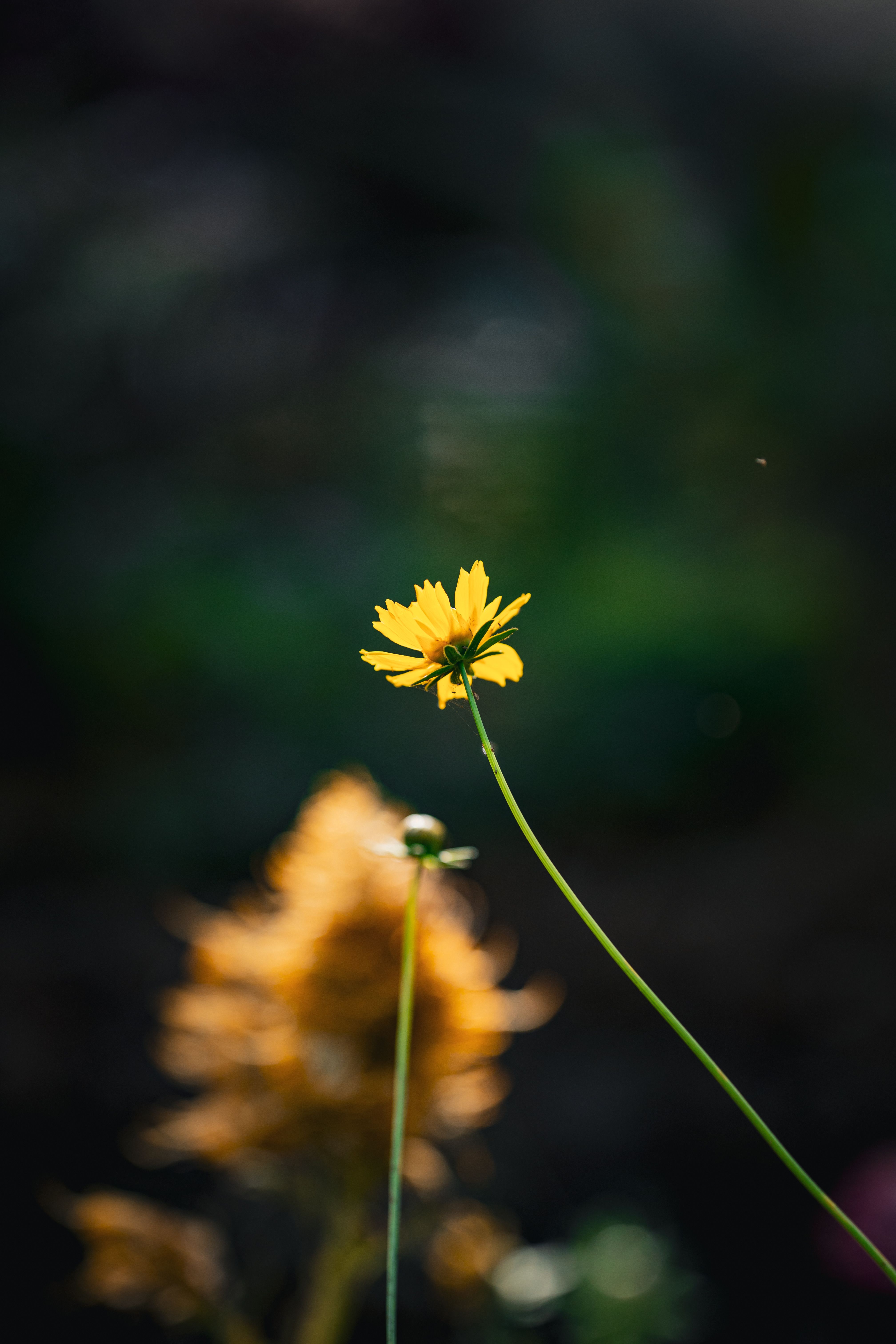 Single Color Background Images Photos, Download The BEST Free Single ...