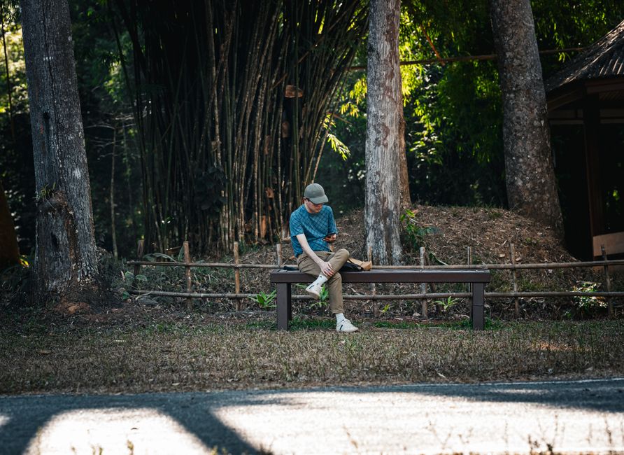 Casual moment captured of a person sitting on a bench in a tranquil Thai forest setting.