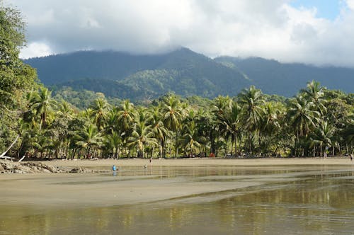 Foto stok gratis gunung, kosta rika, pantai