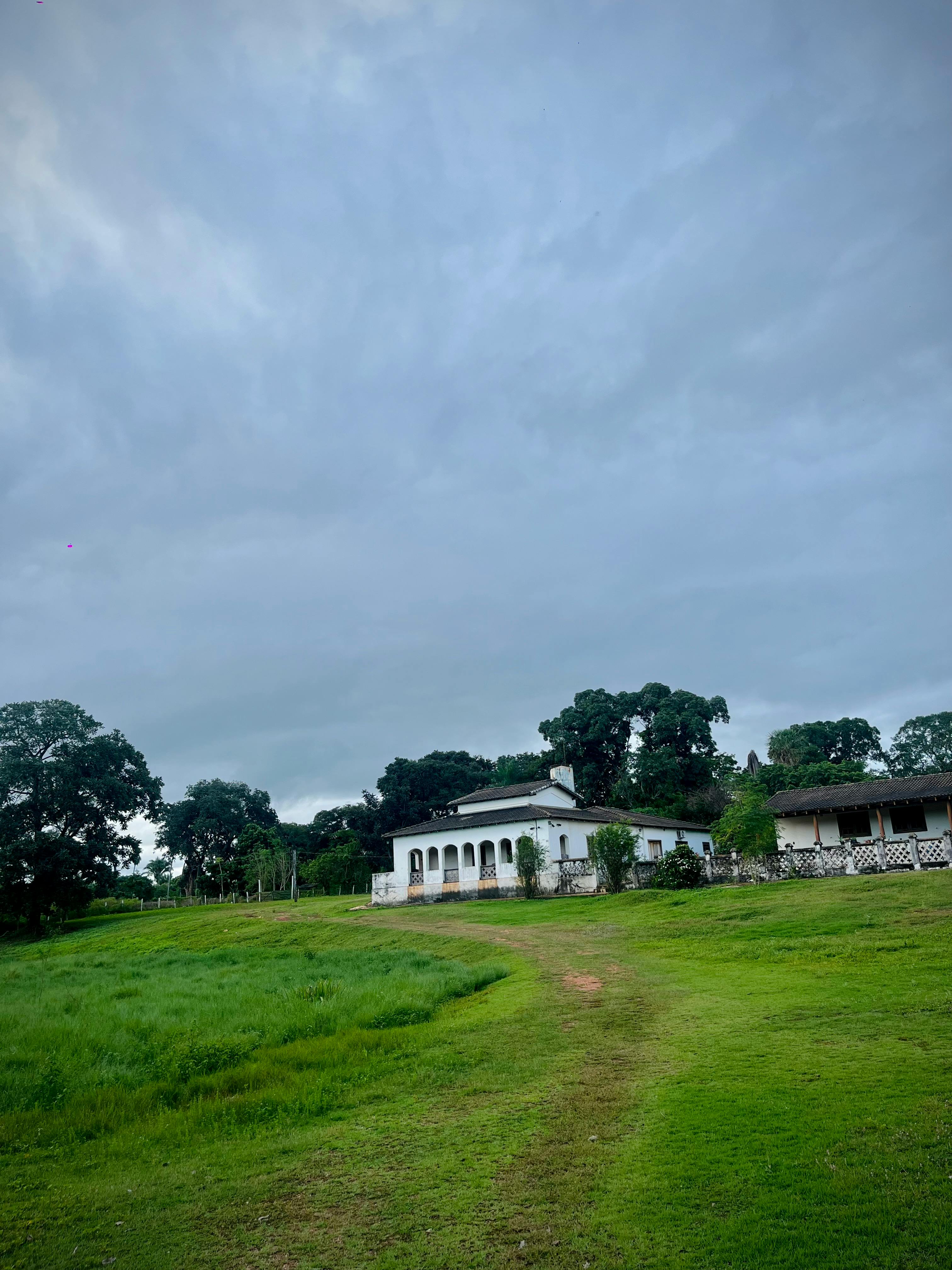 charming rural house amidst lush greenery