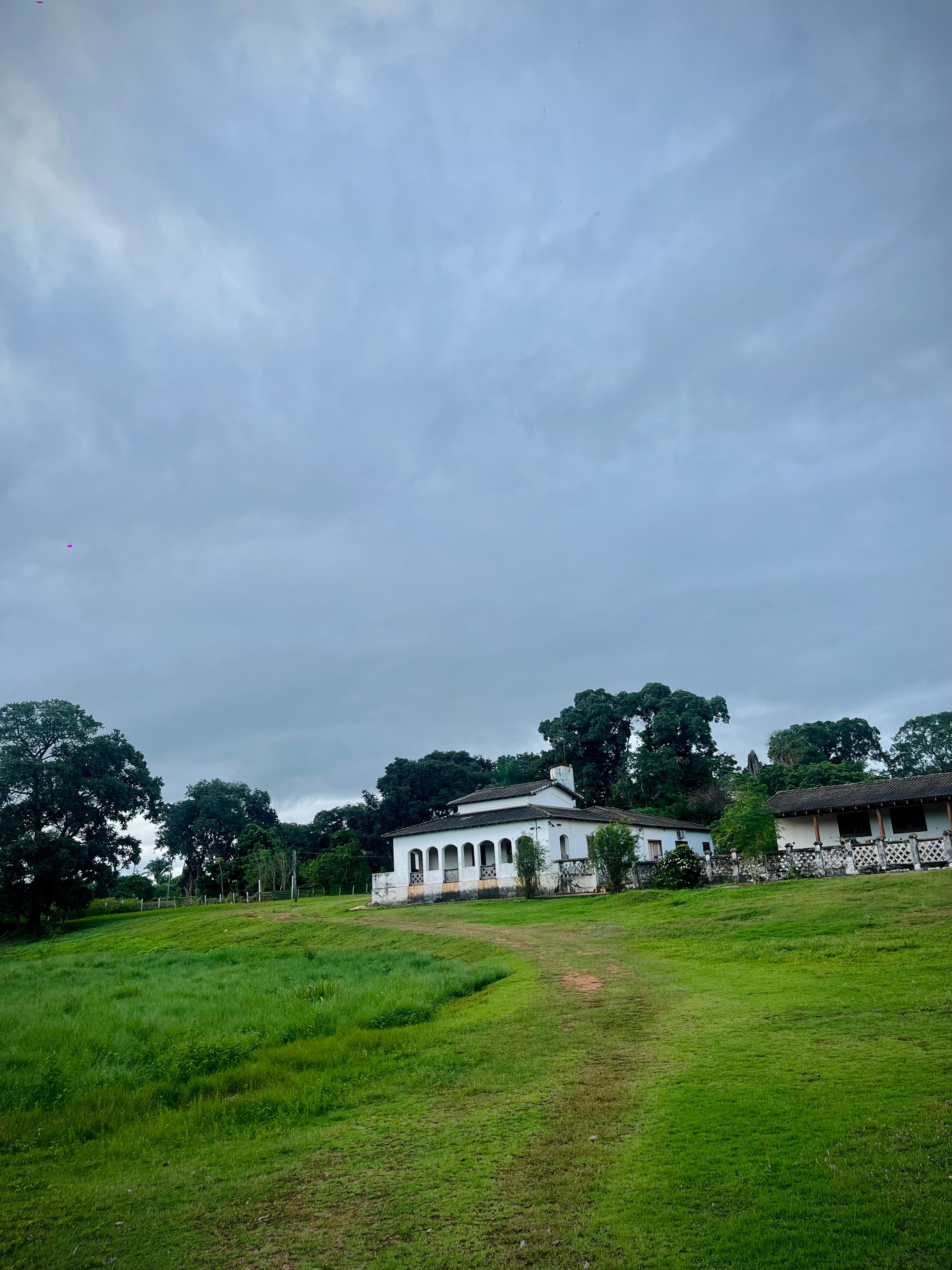 Charming Rural House Amidst Lush Greenery · Free Stock Photo