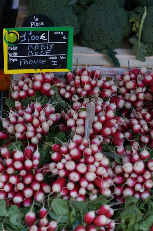 Free stock photo of farmers market, france, french