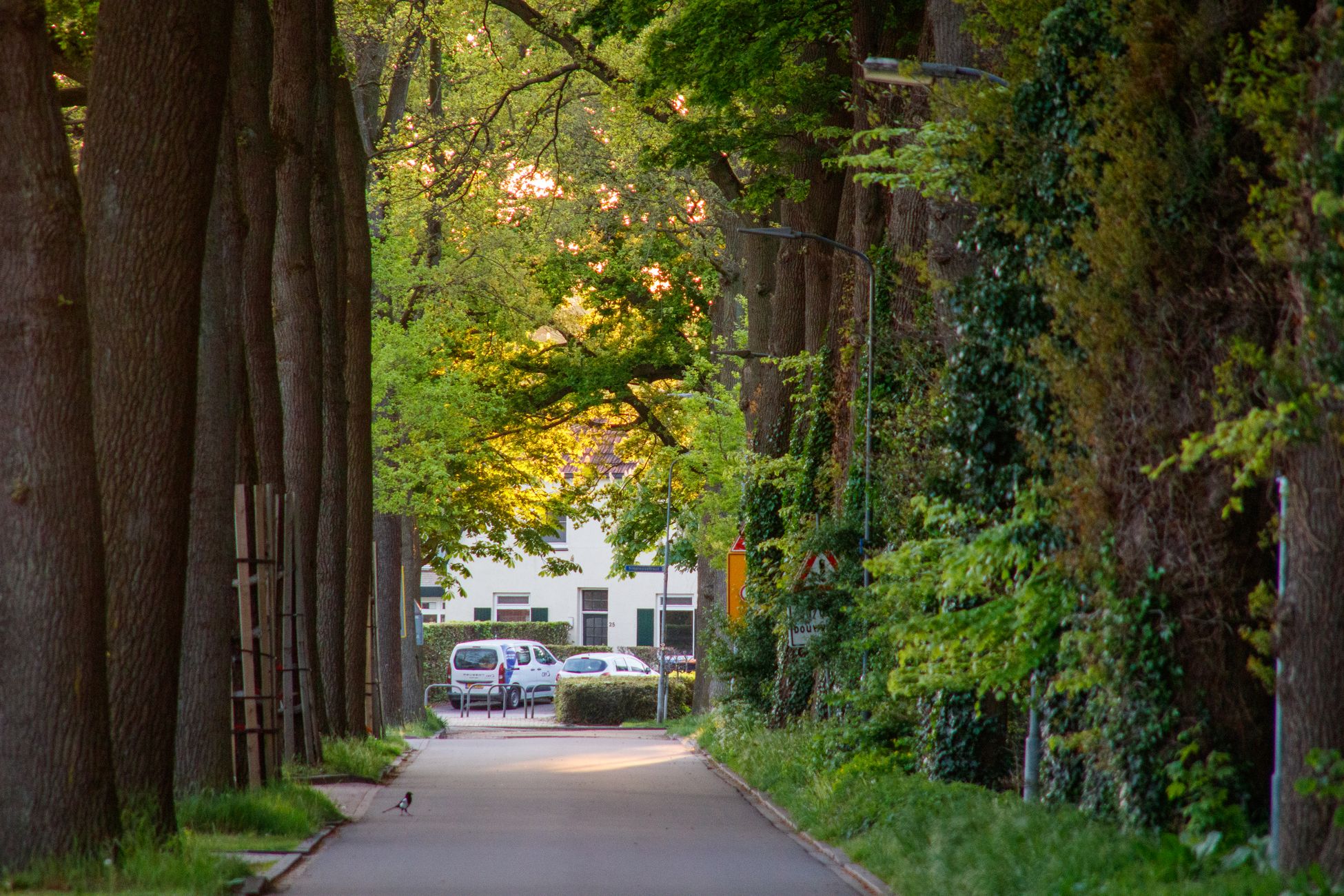 Weerstand tegen groene plannen Nijmegen vanwege veiligheidsrisico's