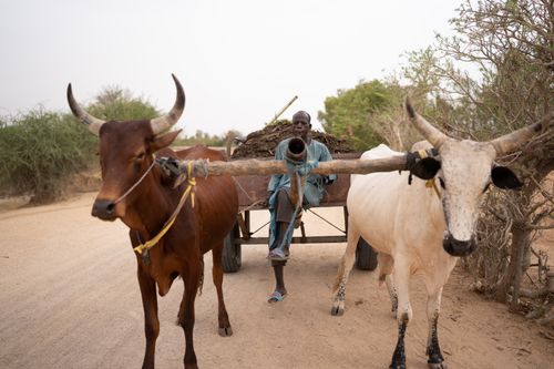 Free Village life simple steps, profound journeys. Stock Photo