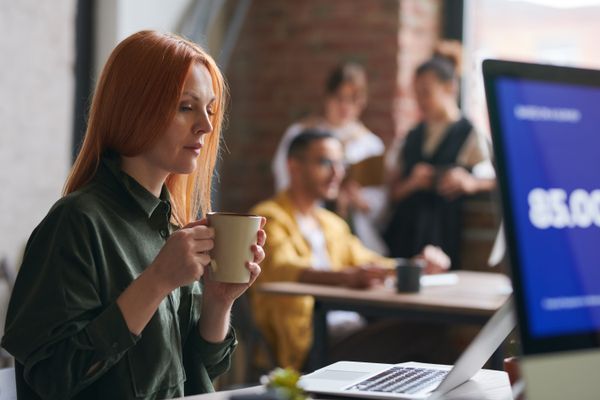 How to Find the Perfect Online Business for Sale (And Avoid Scams) 3 pexels photo 3184161