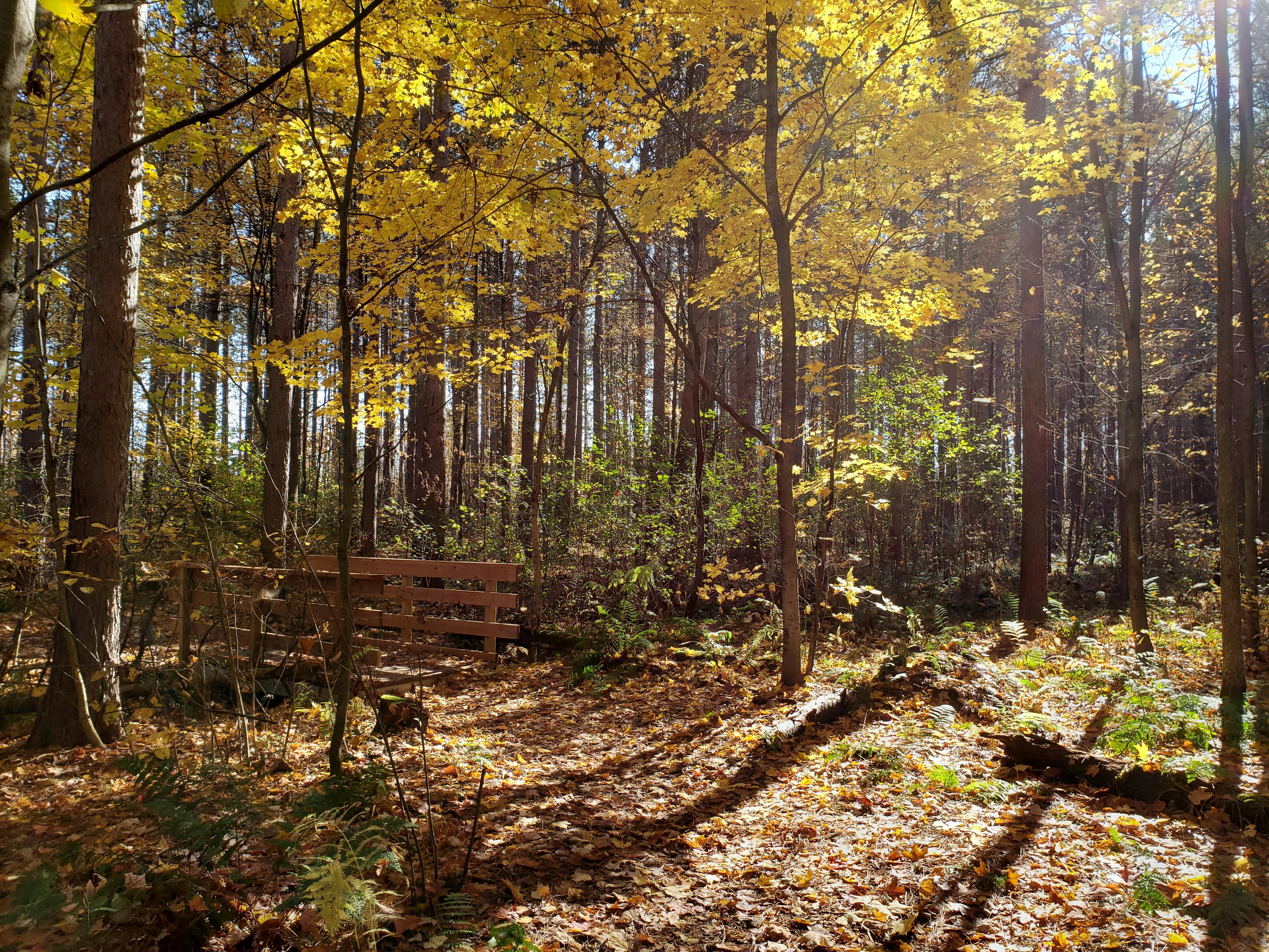 Friends sharing food and wine at a table, talking and laughing