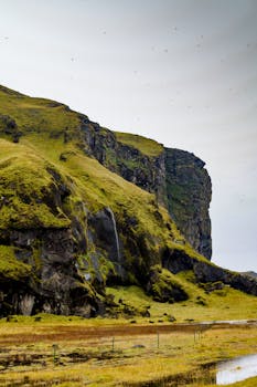 白天，冰岛的苔藓、悬崖和岩石地形呈现出美丽的景色