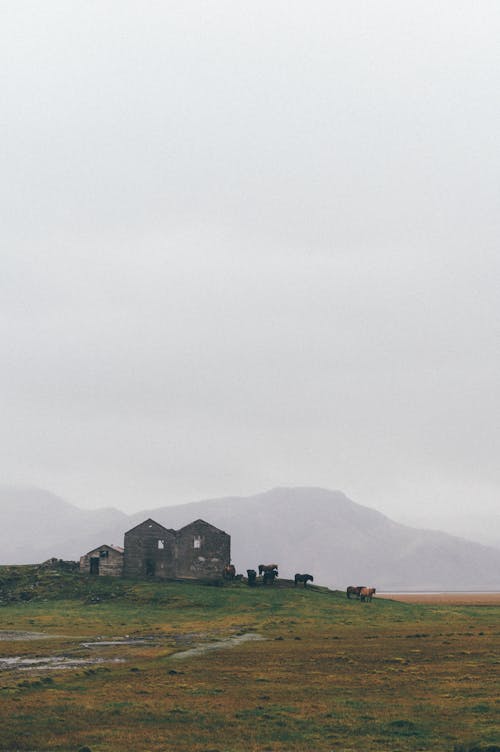 Grey Concrete Building