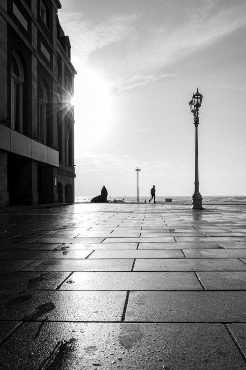 Free Captivating black and white photo of urban life by the sea in Mar del Plata at sunset. Stock Photo